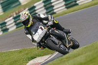 Lower Group Black Bikes